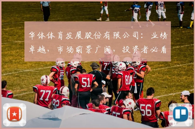 华体体育发展股份有限公司：业绩卓越，市场前景广阔，投资者必看