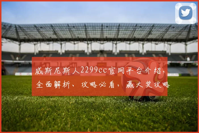 威斯尼斯人2299cc官网平台介绍，全面解析、攻略必看，赢大奖攻略分享
