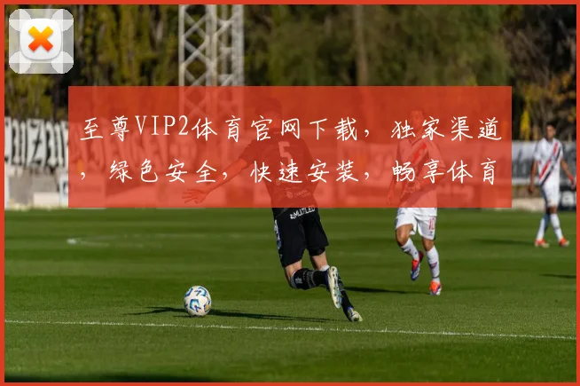 至尊VIP2体育官网下载，独家渠道，绿色安全，快速安装，畅享体育盛宴，不容错过